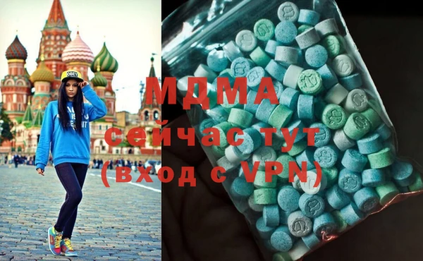 индика Бородино