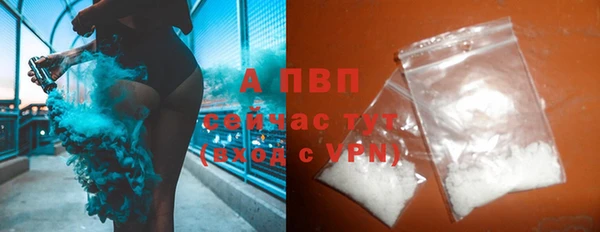 индика Бородино