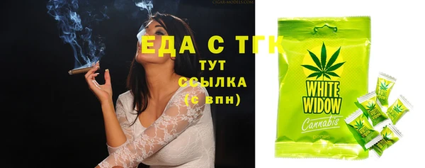 индика Бородино
