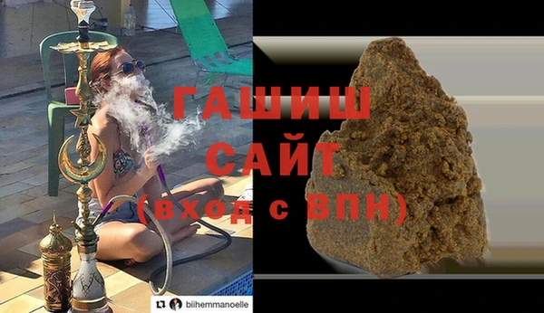 индика Бородино