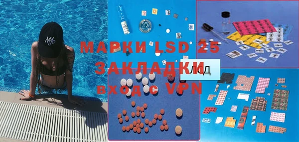 индика Бородино