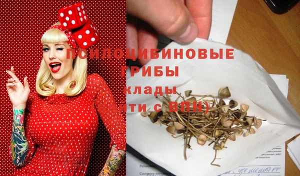 индика Бородино