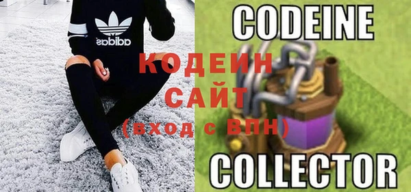 индика Бородино
