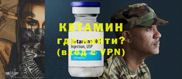 индика Бородино