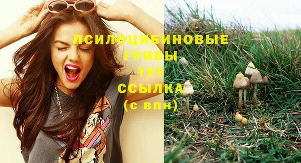 а пвп мука Бронницы