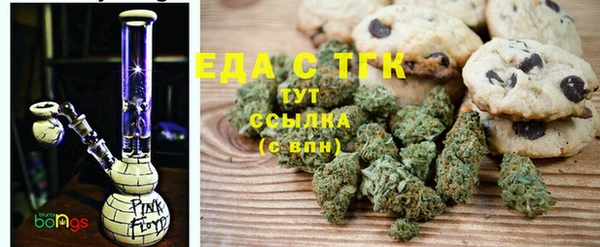 индика Бородино