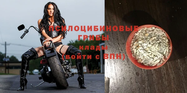 а пвп мука Бронницы
