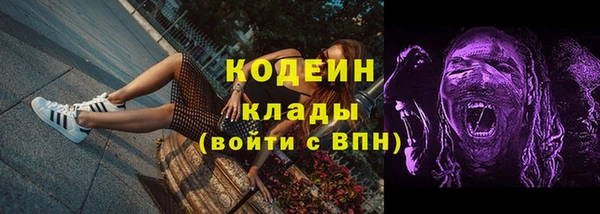 индика Бородино