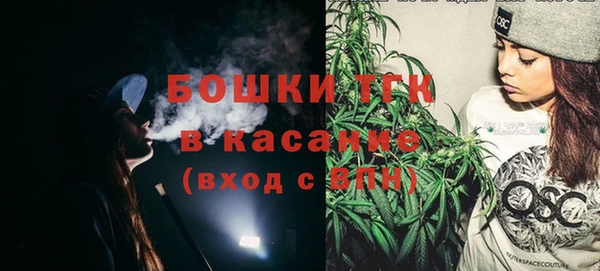 индика Бородино
