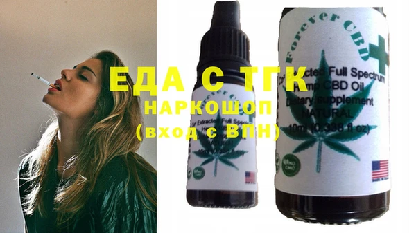 индика Бородино