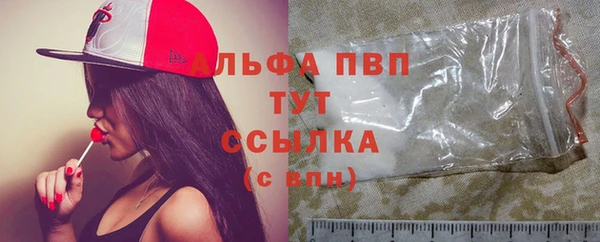 индика Бородино