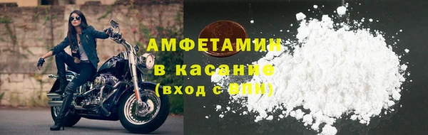индика Бородино
