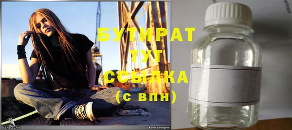 индика Бородино