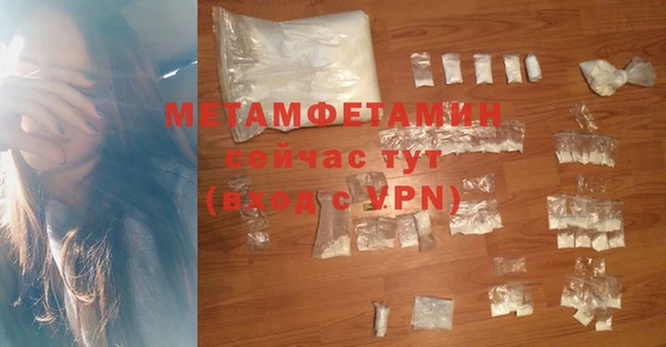индика Бородино